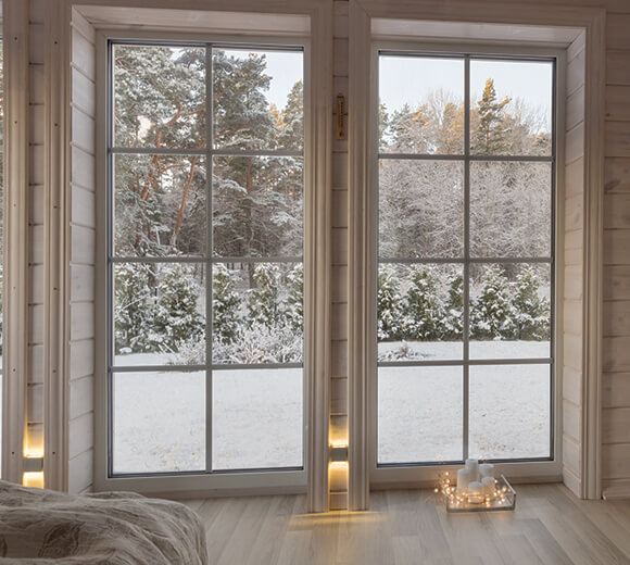 вигляд на дерева у снігу через вікна у повний зріст